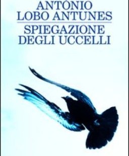 Tecniche di riscaldamento / "Spiegazione degli uccelli" di António Lobo Antunes