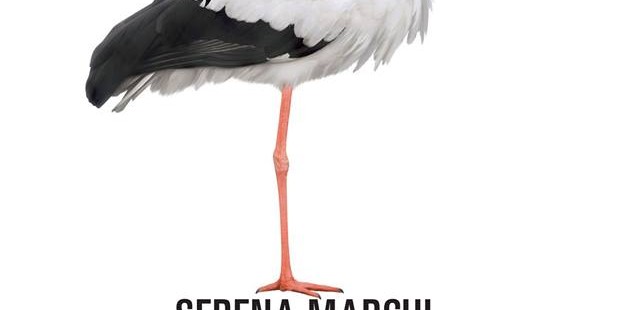 "Madri, comunque" di Serena Marchi