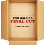 "Final Cut. L'amore non resiste" di Vins Gallico