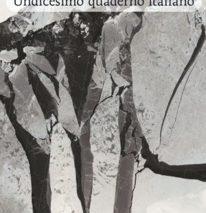 "Poesia contemporanea. Undicesimo quaderno italiano" a cura di Franco Buffoni